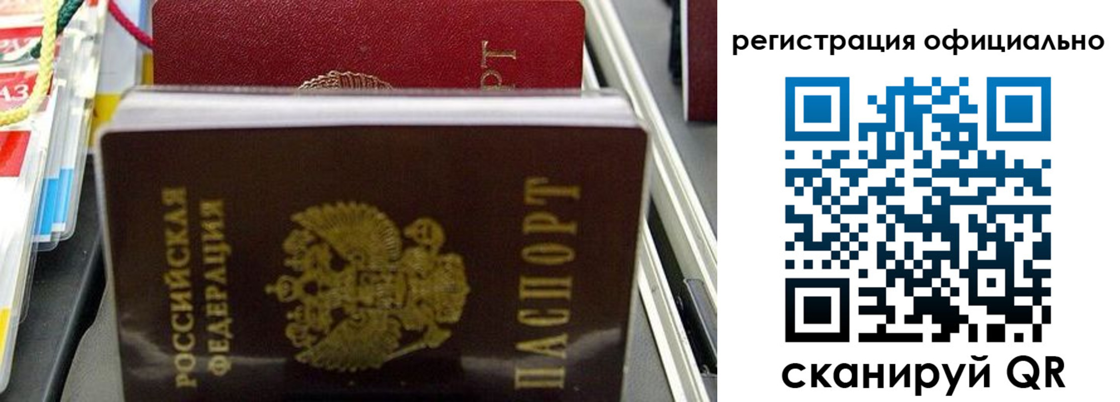прописка 2025 в Домодедово